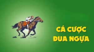 Tìm Hiểu Cá Cược Đua Ngựa GO88 Và Những Điều Người Chơi Cần Biết